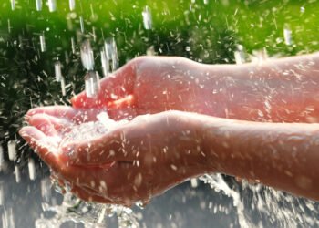Hand collecting rainwater