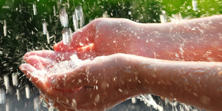 Hand collecting rainwater