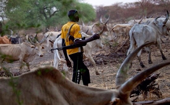 7 persons killed in herdsmen attack in Benue State