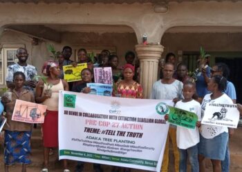Group holds COP27 action in Benue, advocates planting of trees