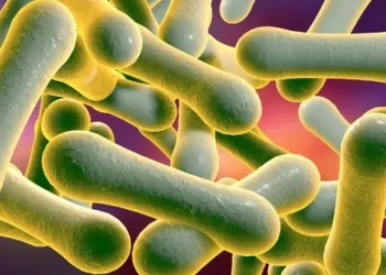 Diphtheria outbreak, why you should worry