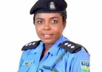 Benue State Police command neutralises Armed robber, arrests suspected kidnapper