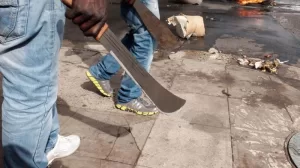 7 killed in cult clash in Ugbokolo town, Benue State