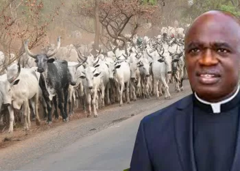 Gov Alia Included Benue in the list of states to get Fulani colonies