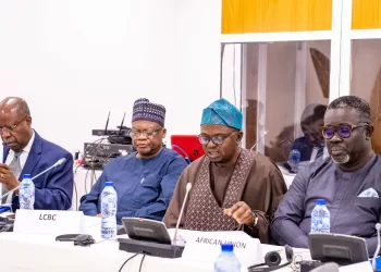 Tinubu urges increased focus on lake Chad water management.