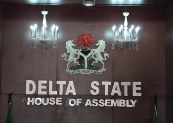 Delta Assembly holds public hearing on administration of urban development bill