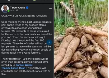 Ortom's Spokesman encourages100 young farmers with cassava stems