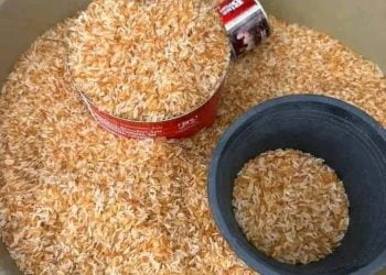 New fake brown rice in Benue market: Consumer raises alarm
