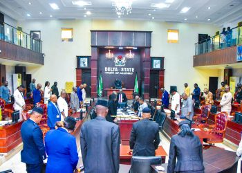 Delta Assembly resumes plenary after six weeks recess